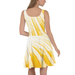 Skater Dress
